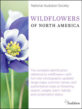 National Audubon Society Wildflowers of North America by National Audubon Society