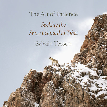 The Art of Patience by Sylvain Tesson