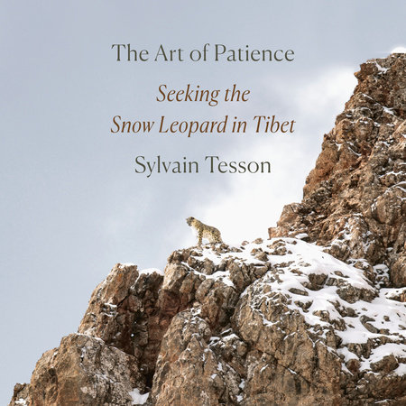 The Art of Patience by Sylvain Tesson: 9780593296288