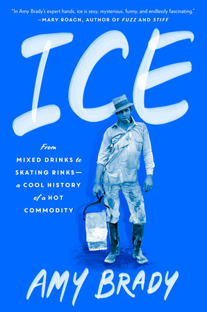 Ice by Amy Brady