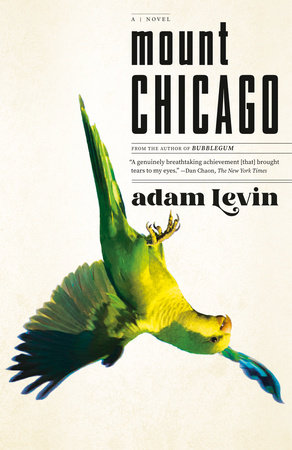 Mount Chicago by Adam Levin