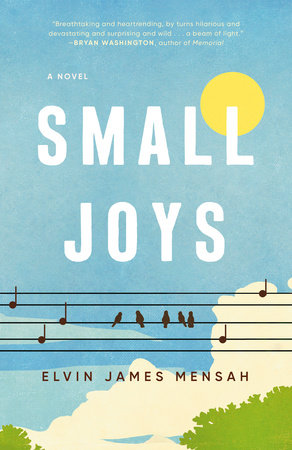Small Joys Book Cover Picture