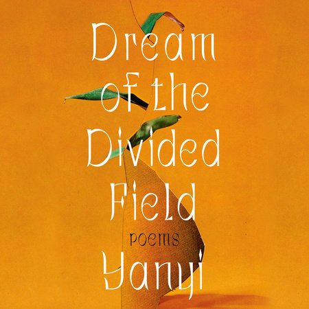Dream of the Divided Field by Yanyi