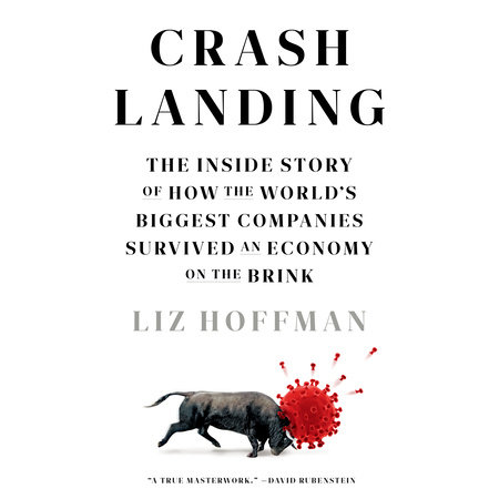 Crash Landing by Liz Hoffman