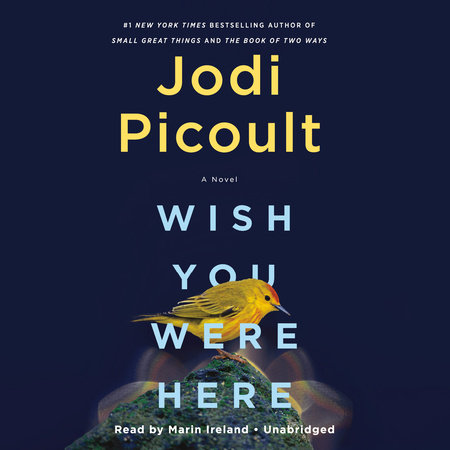 Wish You Were Here by Jodi Picoult