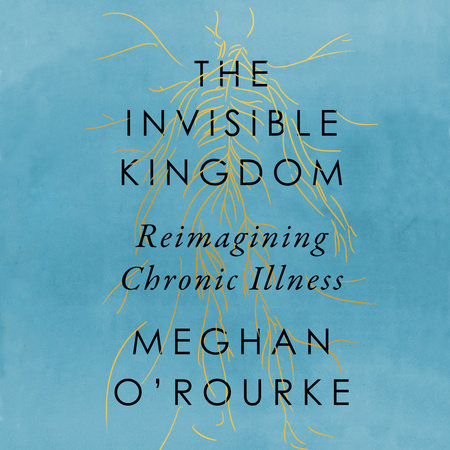 The Invisible Kingdom by Meghan O'Rourke