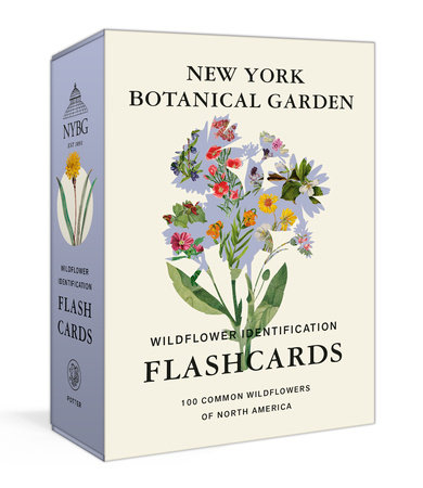 New York Botanical Garden Wildflower Identification Flashcards by The New York Botanical Garden