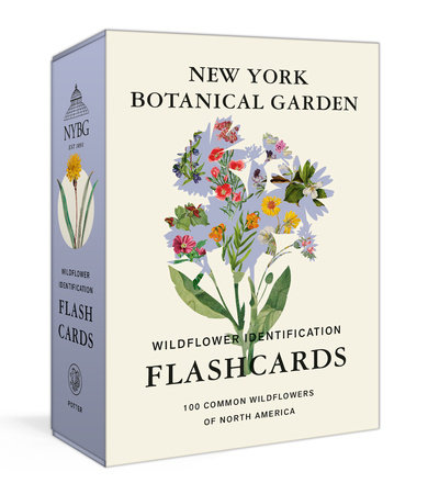 New York Botanical Garden Wildflower Identification Flashcards by New York Botanical Garden