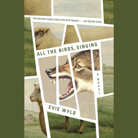 All the Birds, Singing by Evie Wyld
