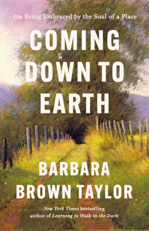 Coming Down to Earth by Barbara Brown Taylor