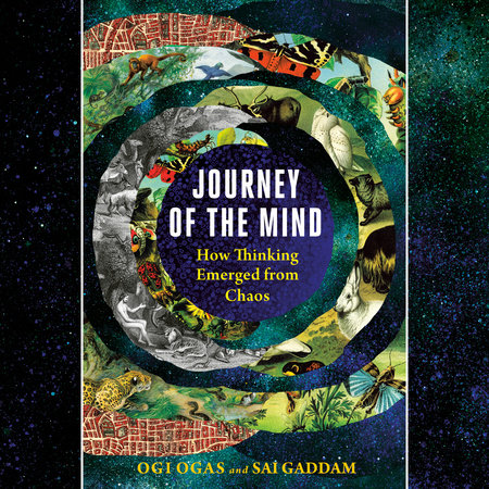 Journey of the Mind by Ogi Ogas and Sai Gaddam