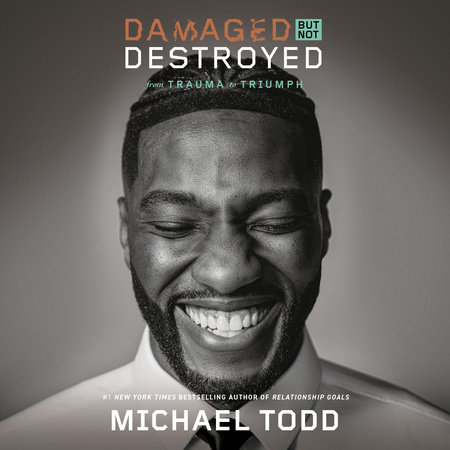 Damaged but Not Destroyed by Michael Todd