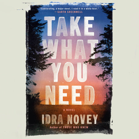 Take What You Need by Idra Novey
