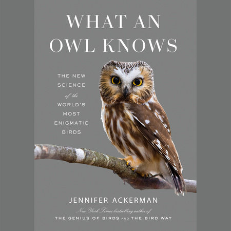 What an Owl Knows by Jennifer Ackerman