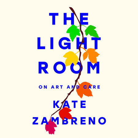 The Light Room by Kate Zambreno