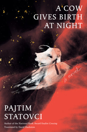 A Cow Gives Birth at Night by Pajtim Statovci
