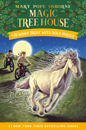 Magic Tree House Books 25-28 Boxed Set by Mary Pope Osborne 