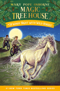 Magic Tree House Boxed Set: Books 1–28 by Mary Pope Osborne