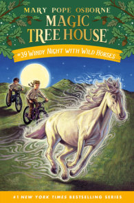 Magic Tree House Boxed Set (9-12) by Mary Pope Osborne