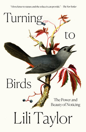 Turning to Birds by Lili Taylor