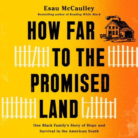 How Far to the Promised Land by Esau McCaulley