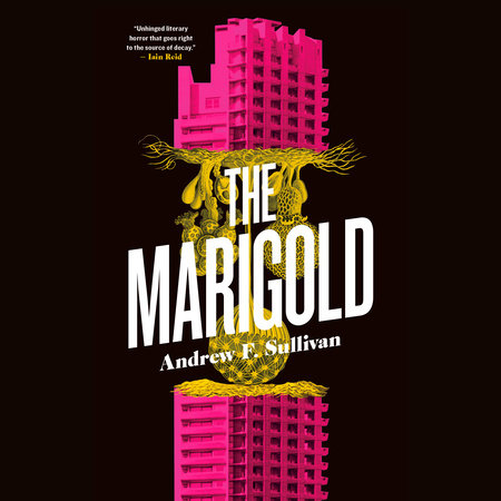 The Marigold by Andrew F. Sullivan