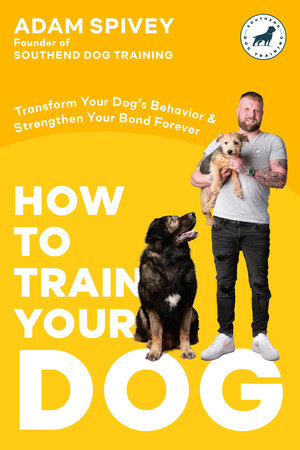 How to Train Your Dog by Adam Spivey