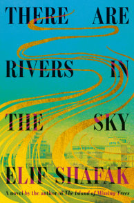 There Are Rivers in the Sky