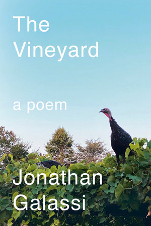 The Vineyard by Jonathan Galassi