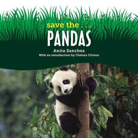 Save the...Pandas by Anita Sanchez and Chelsea Clinton