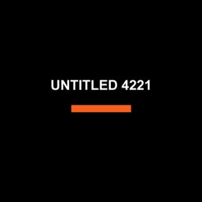 UNTITLED 4221