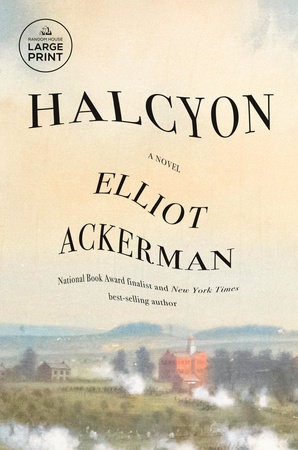 Halcyon by Elliot Ackerman
