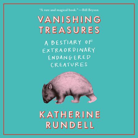 Vanishing Treasures by Katherine Rundell