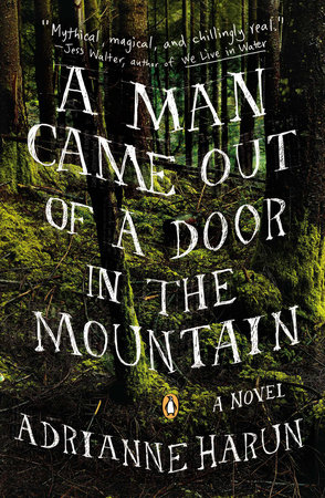 A Man Came Out of a Door in the Mountain by Adrianne Harun