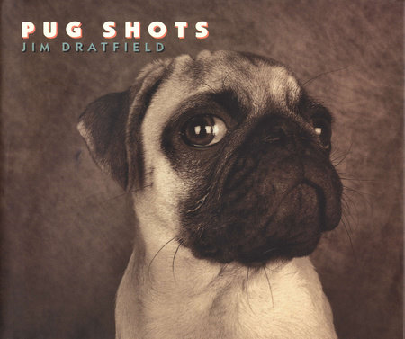 Pug Shots by Jim Dratfield