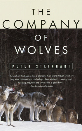 The Company Of Wolves By Peter Steinhart 9780679743873 Penguinrandomhouse Com Books