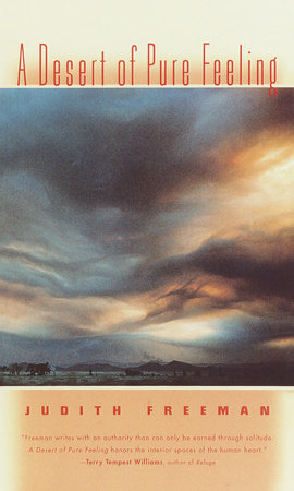 A Desert of Pure Feeling by Judith Freeman