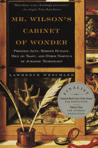 Mr. Wilson's Cabinet Of Wonder