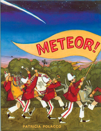 Meteor! by Patricia Polacco