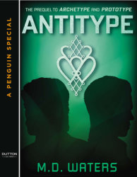 Antitype