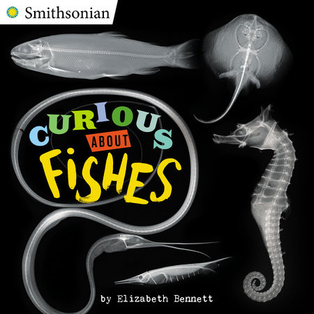 Curious About Fishes by Elizabeth Bennett