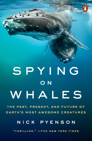 Spying on Whales by Nick Pyenson