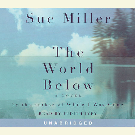 The World Below by Sue Miller