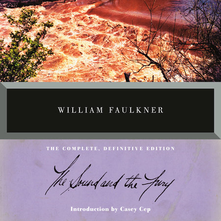 The Sound and the Fury by William Faulkner