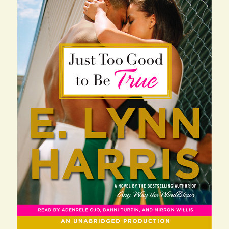 Just Too Good to Be True by E. Lynn Harris