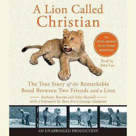 A Lion Called Christian by Anthony Bourke and John Rendall