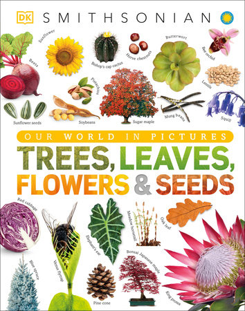 Trees, Leaves, Flowers and Seeds by DK