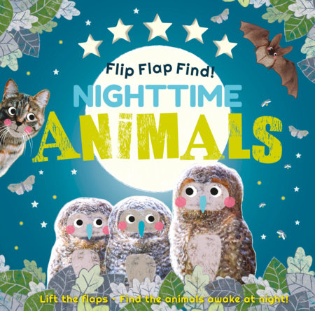 Flip Flap Find! Night-time Animals by DK