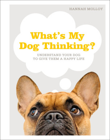 What's My Dog Thinking? by Hannah Molloy
