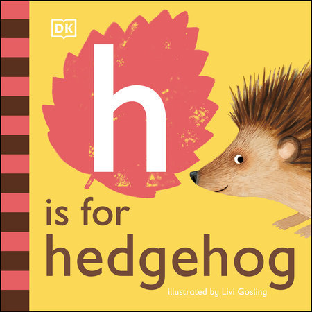 H is for Hedgehog by DK